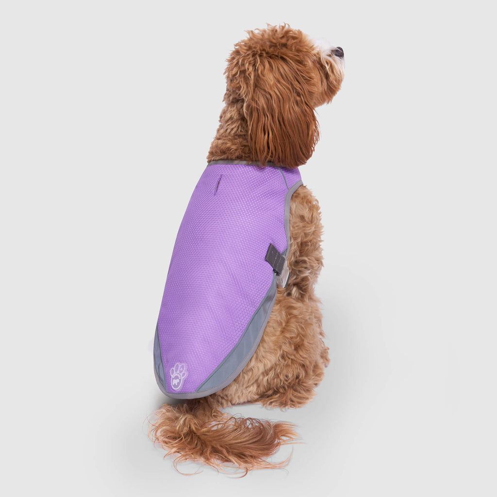 Chill Seeker Cooling Vest Wet Reveal