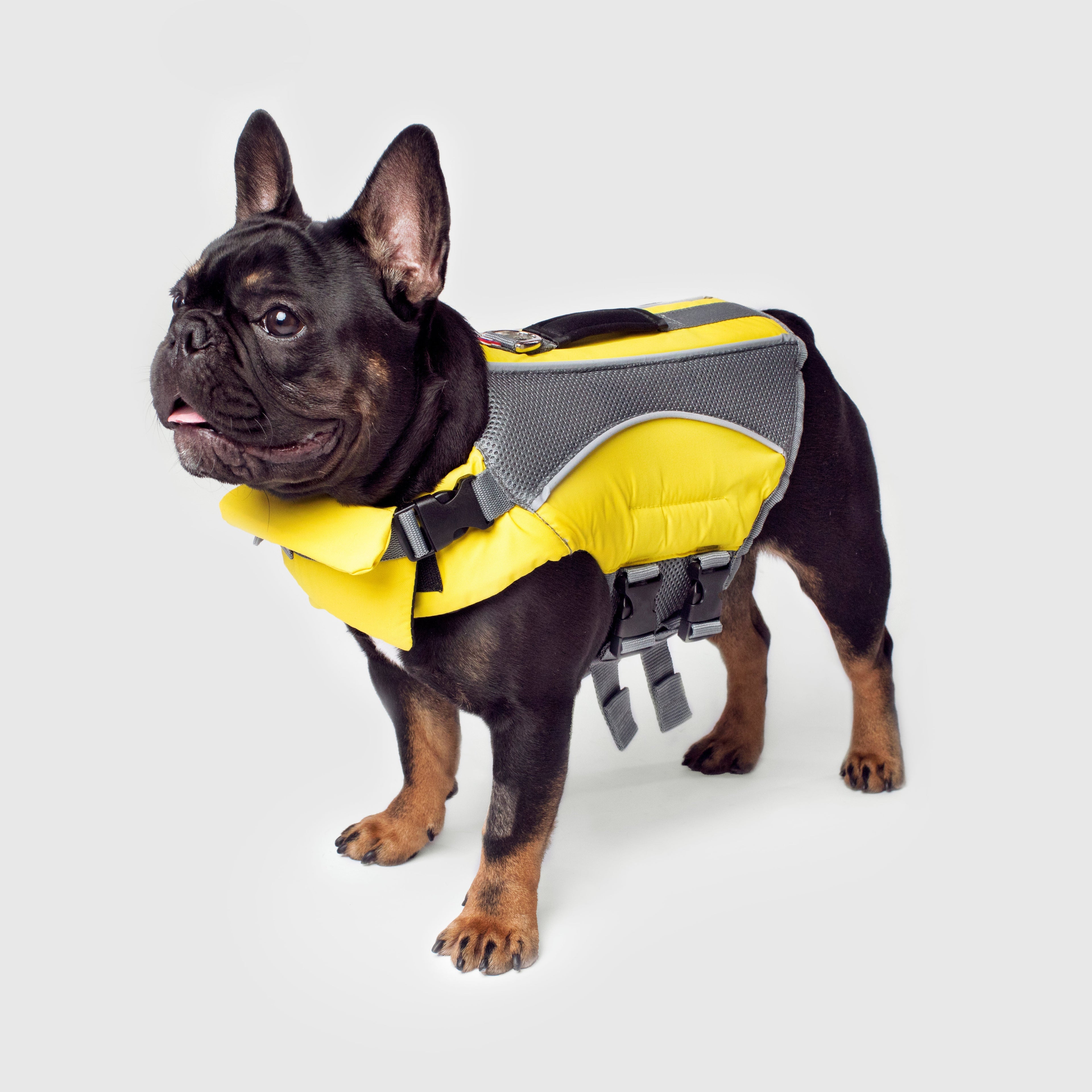Wave Rider Life Jacket