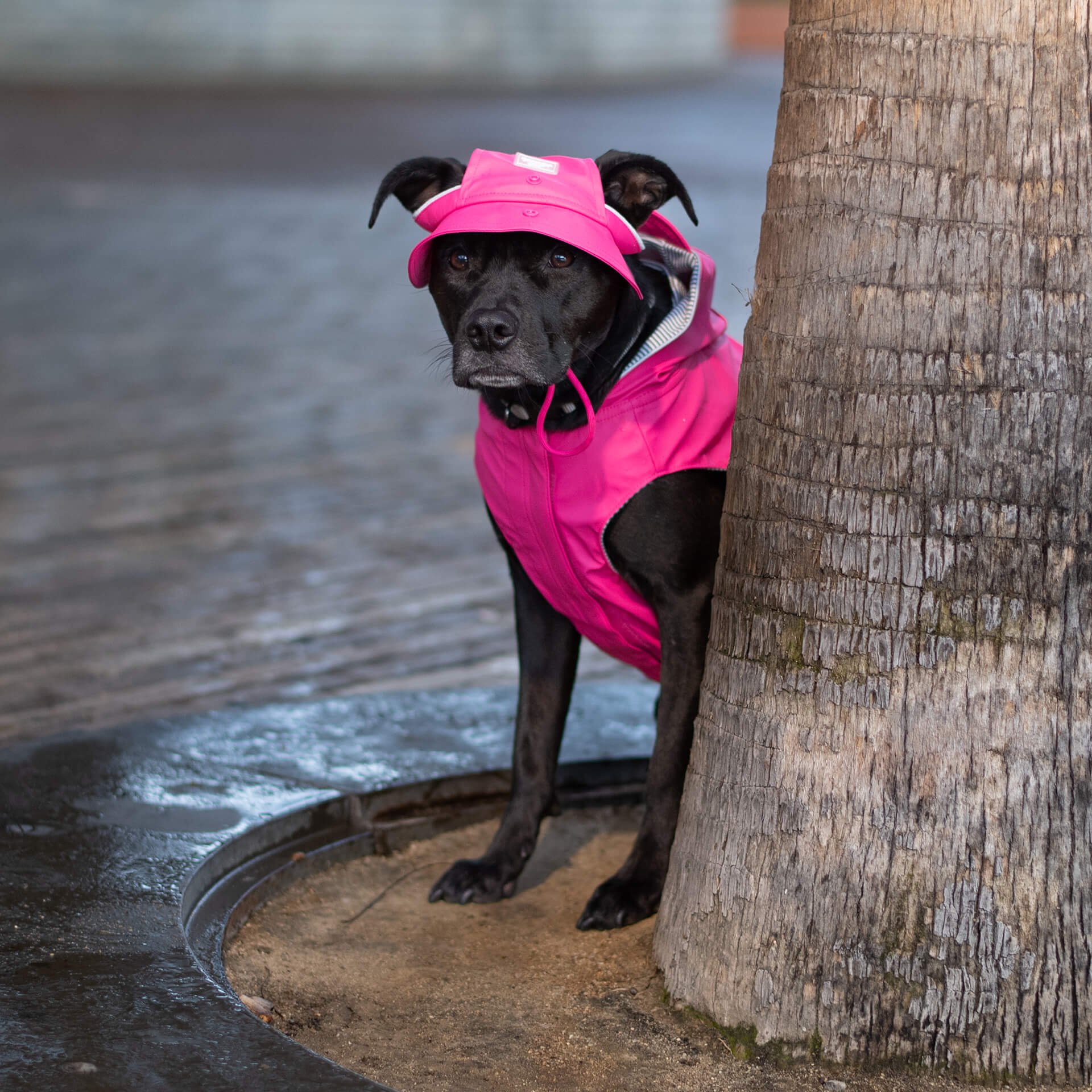 Torrential Tracker Rain Hat