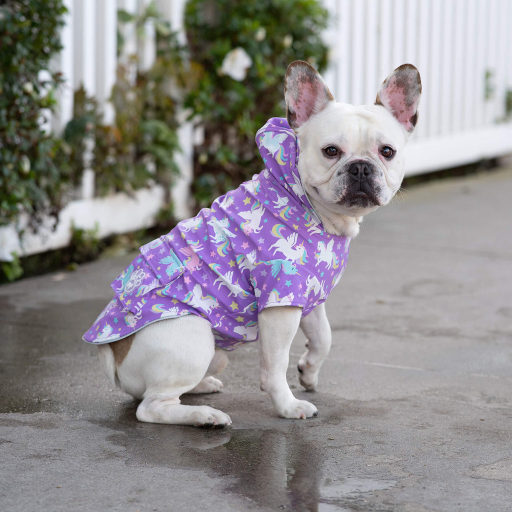 Wet Reveal Torrential Tracker