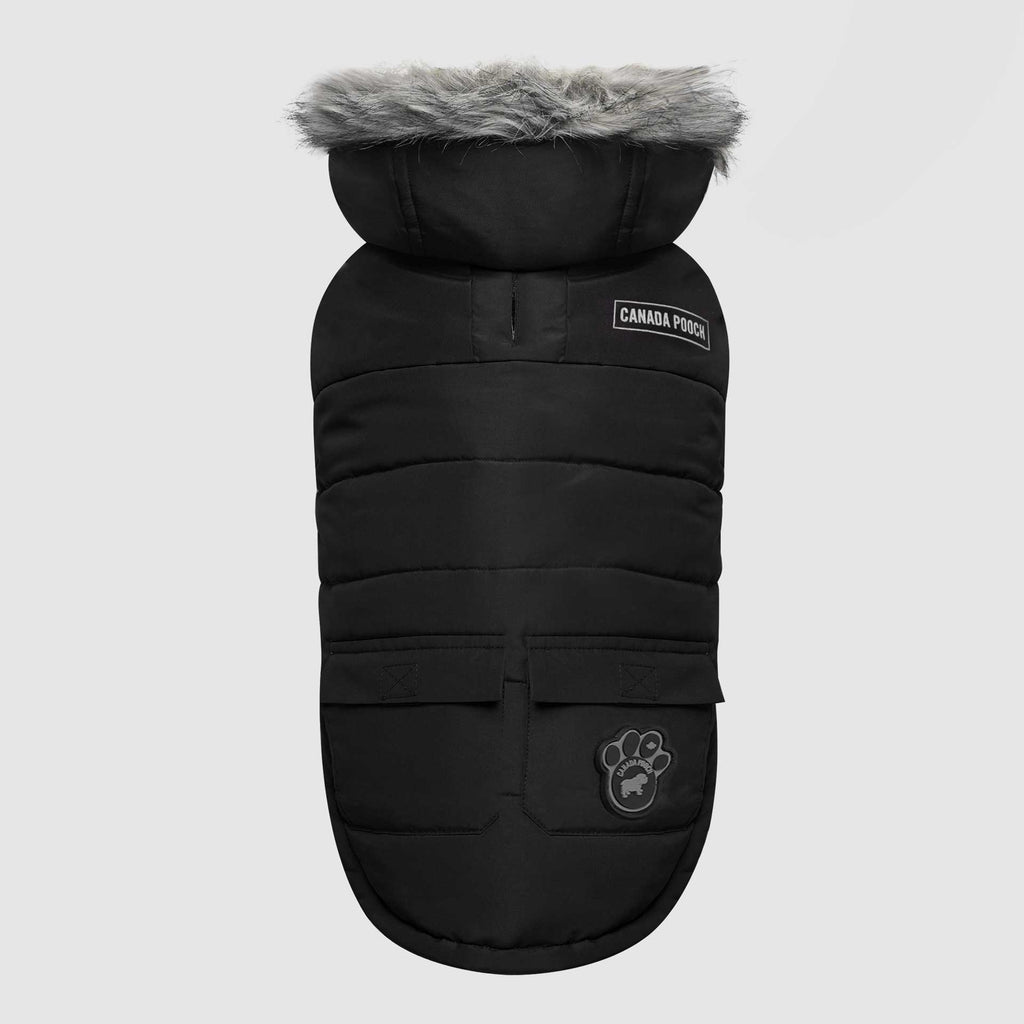 True North Parka X8