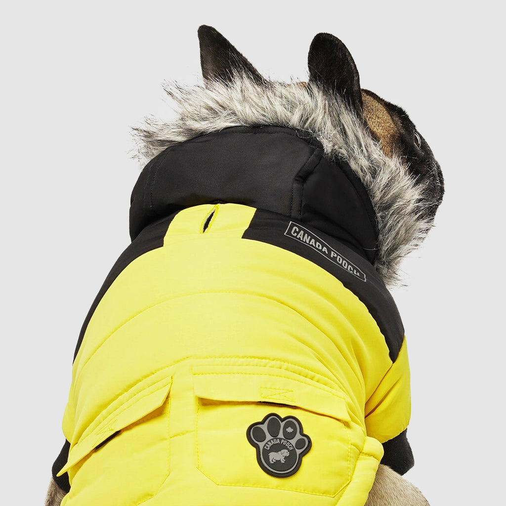 True North Parka