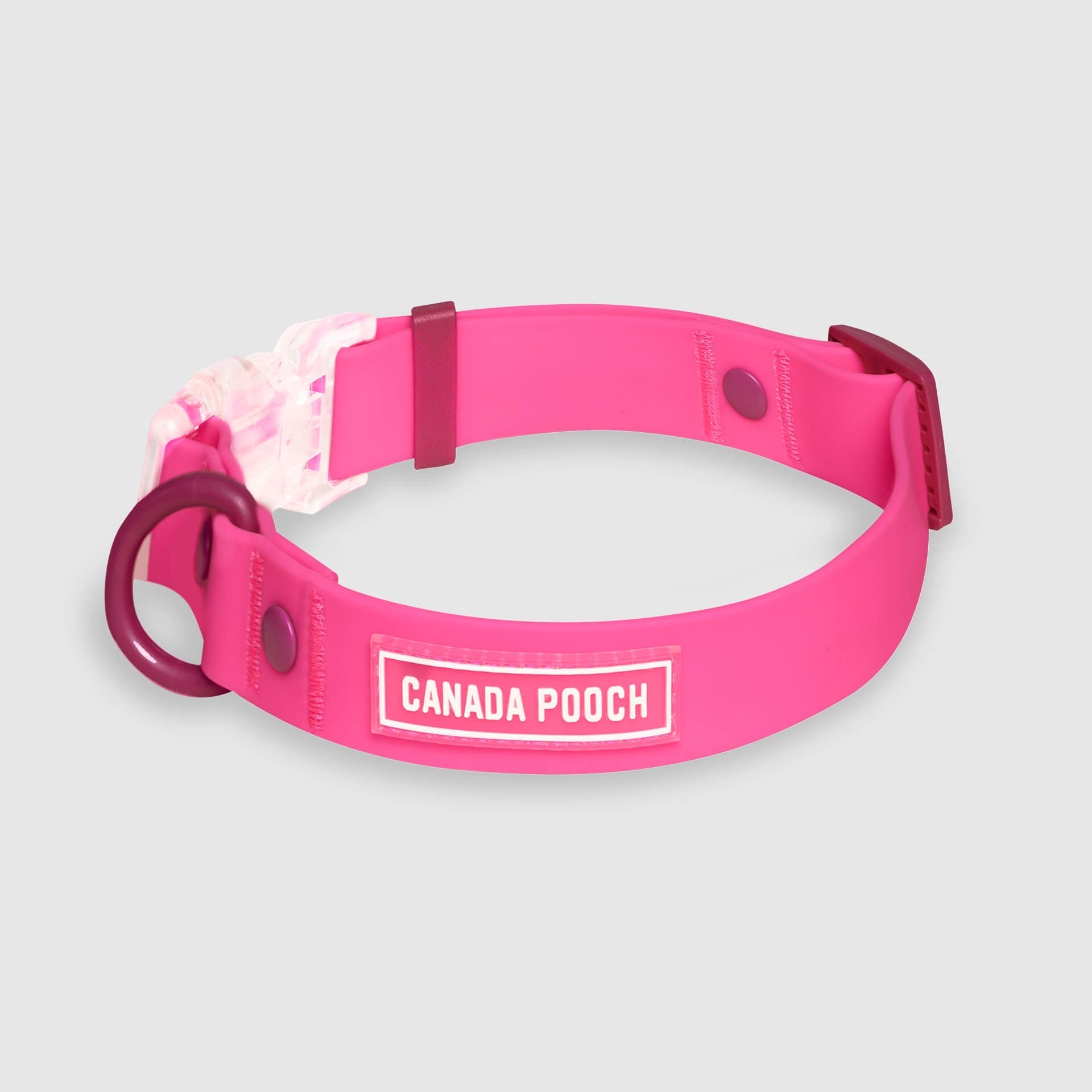 Waterproof Collar Q9