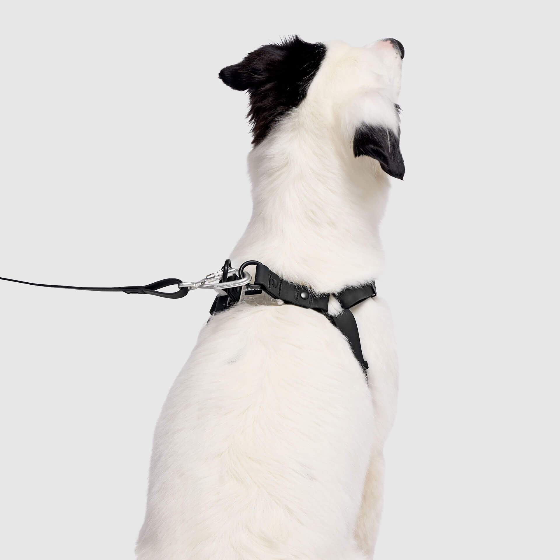 Waterproof Harness