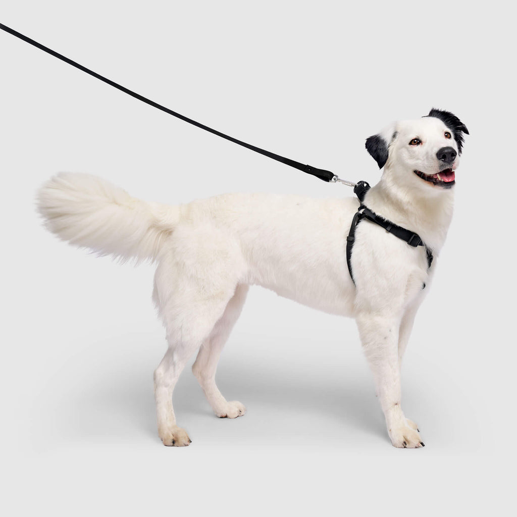 Waterproof Harness
