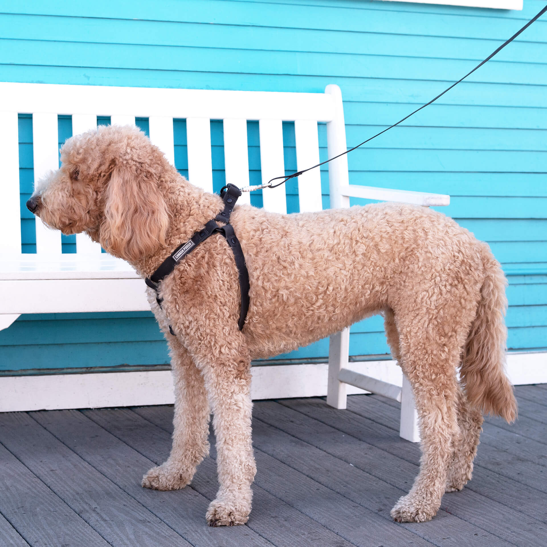 Waterproof Harness