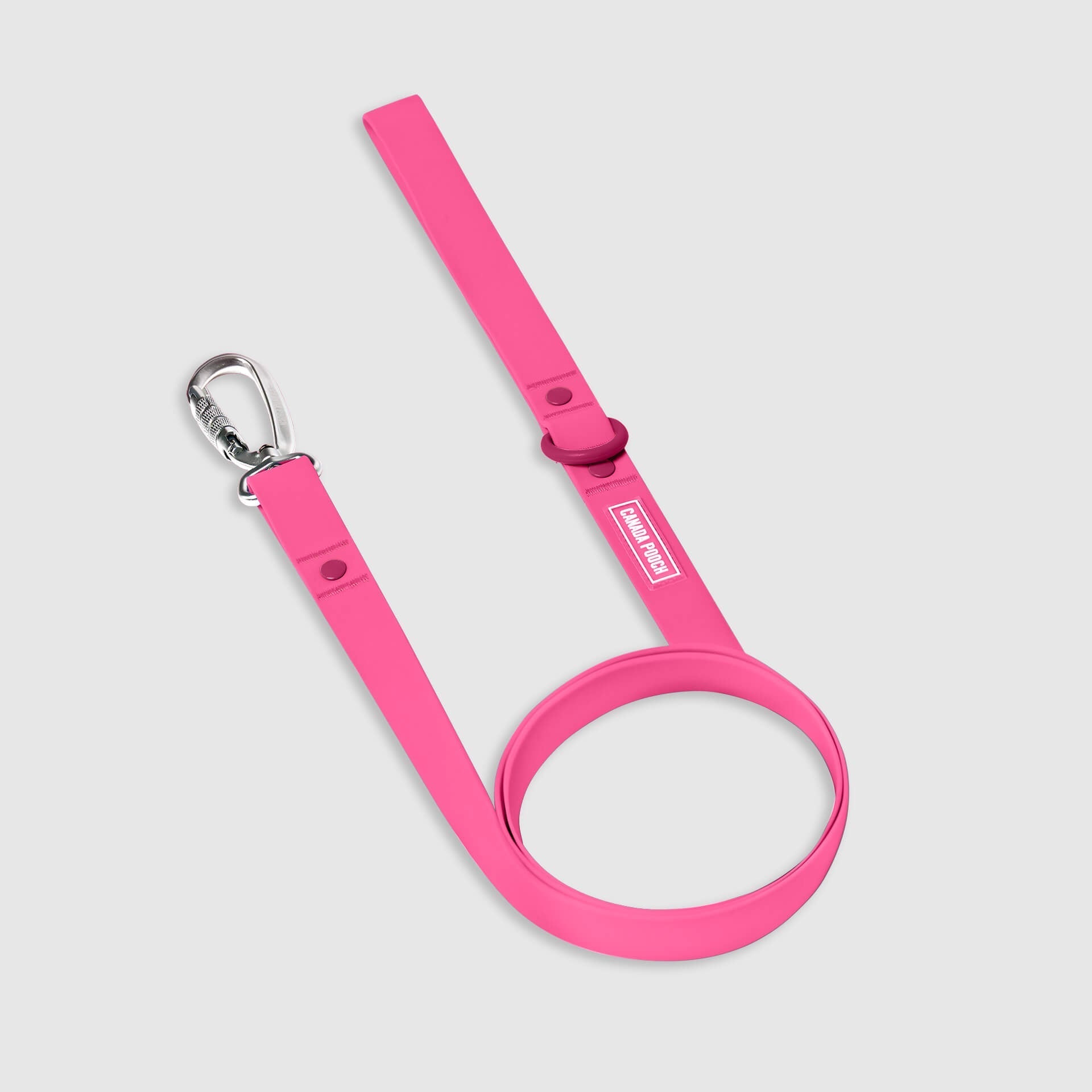 Waterproof Leash C2