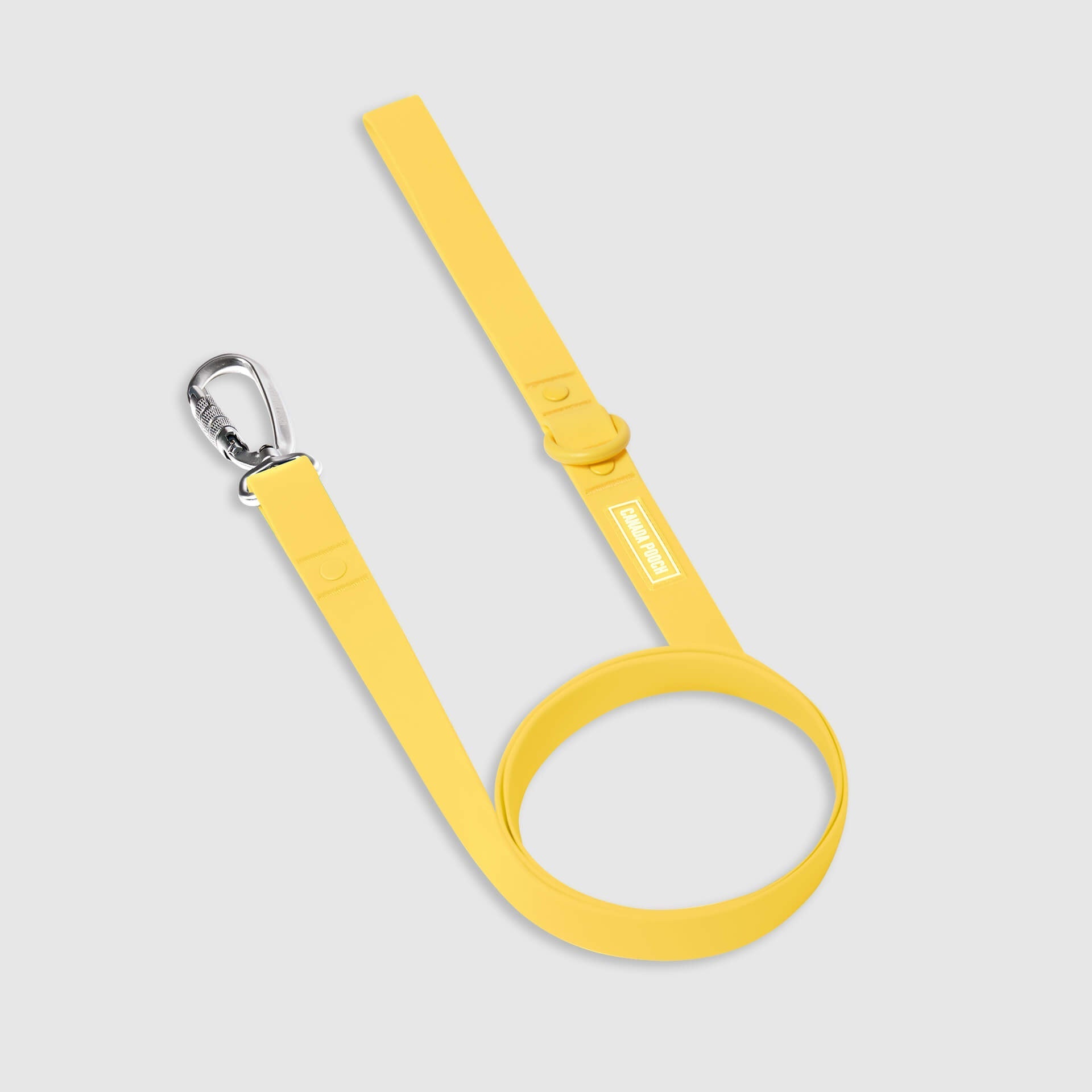 Waterproof Leash C2