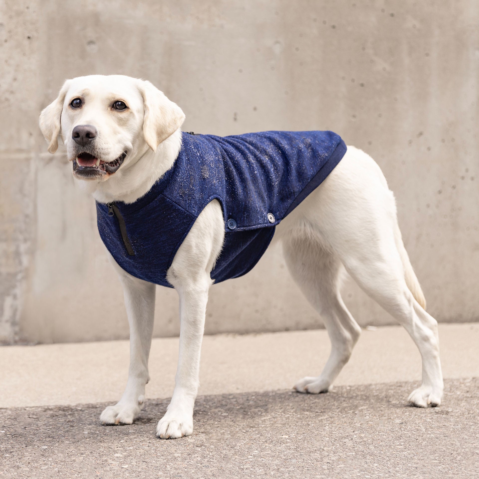 Waterproof Sweater